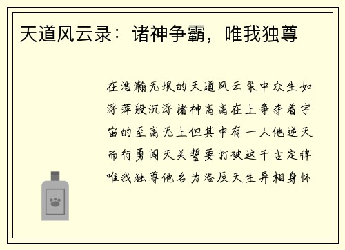 天道风云录：诸神争霸，唯我独尊